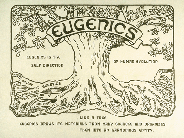 L'image représente un arbre, avec un bandeau sur lequel est inscrit "Eugenics" (eugénisme). Chaque racine correspond à une discipline scientifique qui serait impliquée dans le développement de l'eugénisme (statistique, biologie, psychologie, généalogie etc...).