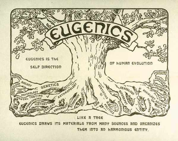 L'image représente un arbre, avec un bandeau sur lequel est inscrit "Eugenics" (eugénisme). Chaque racine correspond à une discipline scientifique qui serait impliquée dans le développement de l'eugénisme (statistique, biologie, psychologie, généalogie etc...).